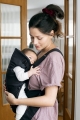BABYBJORN MINI Cotton – nosidełko, Czarny