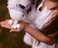 ASTRUP Zestaw do karmienia konia | hobby horse