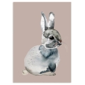 NUUKK Tekturowa kartka pocztowa - BUNNY