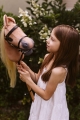 ASTRUP Koń na kiju z otwartą buzią HOBBY HORSE - BLOND SPIRIT N2025
