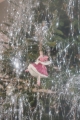 KONGES SLOJD Zawieszka | bombka kolekcjonerska - BOW BALLERINA 2024