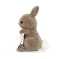 JELLYCAT Pluszowy króliczek listonosz 19cm