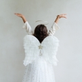 MIMI&LULA Skrzydełka anioła | przebranie - ANGEL WINGS