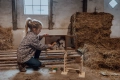 ASTRUP Domek dla królików z akcesoriami