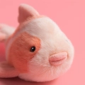 JELLYCAT Pluszowy fantazyjny karp 20cm