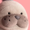 JELLYCAT Pluszowy lew morski 30cm - ROARWELL