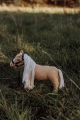 ASTRUP MINIS Konik beżowy 30cm - DAISY