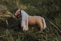 ASTRUP MINIS Konik beżowy 30cm - DAISY
