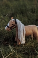 ASTRUP MINIS Konik beżowy 30cm - DAISY